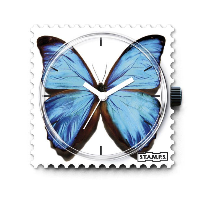 Blue Butterfly 