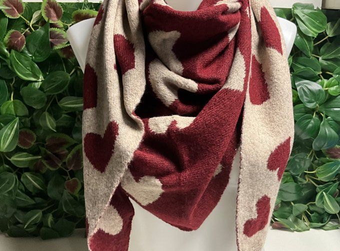 Écharpe double face 